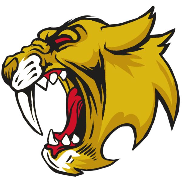 AR30 SABER 04 RQC Thumbnail